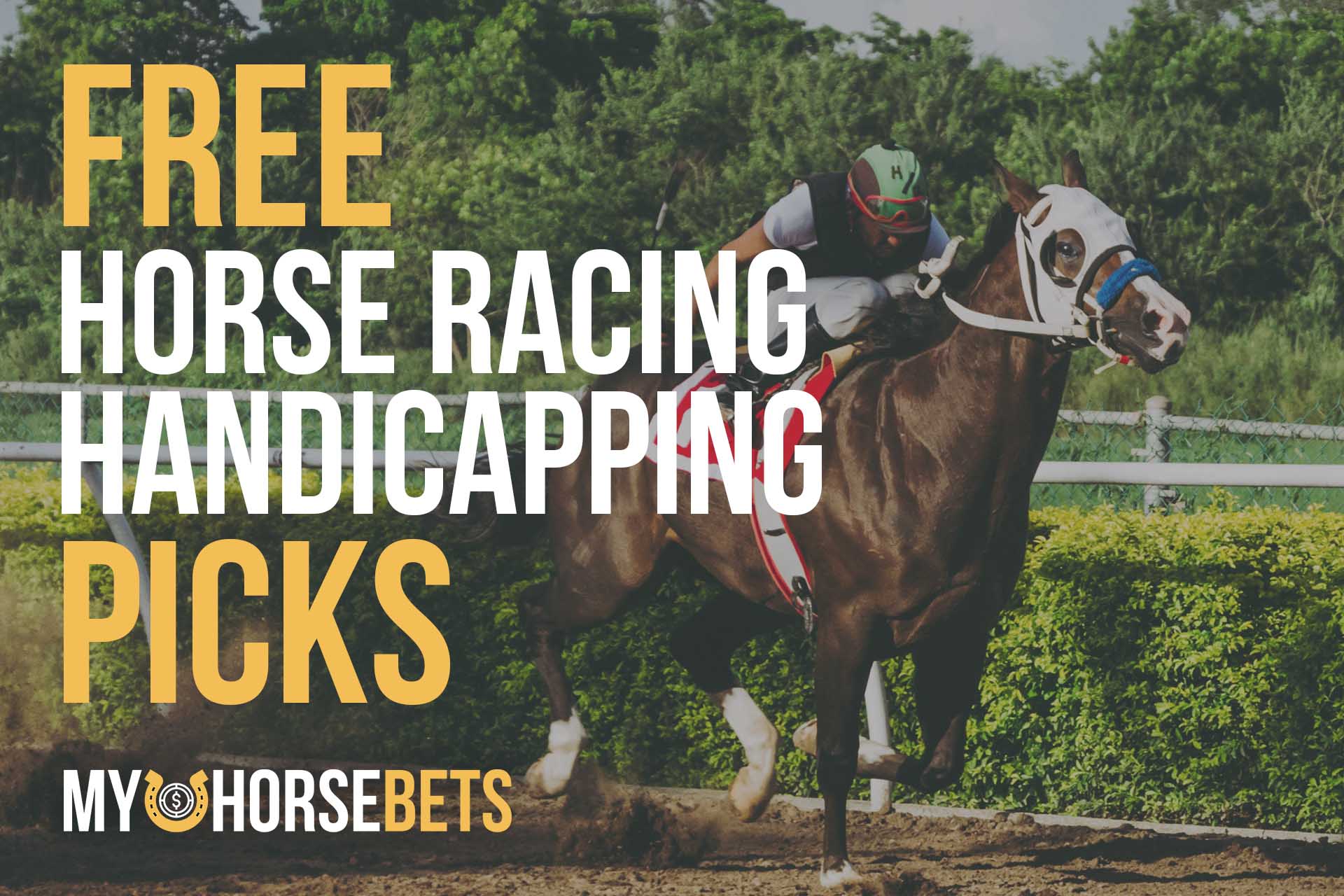 horse betting system without handicapping